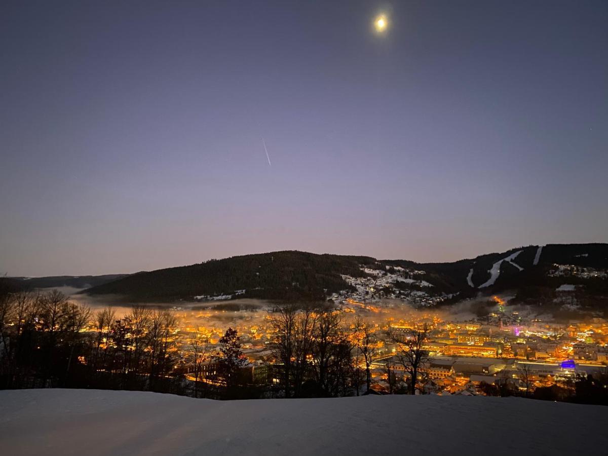 La Cime Des Lacs Gérardmer Exteriér fotografie